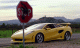 [thumbnail of 1995 Lamborghini Cala fsv.jpg]